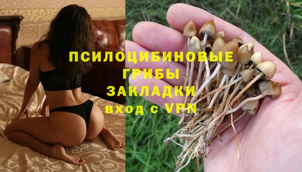 твердый Пролетарск